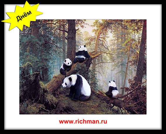 Панды в сосновом лесу